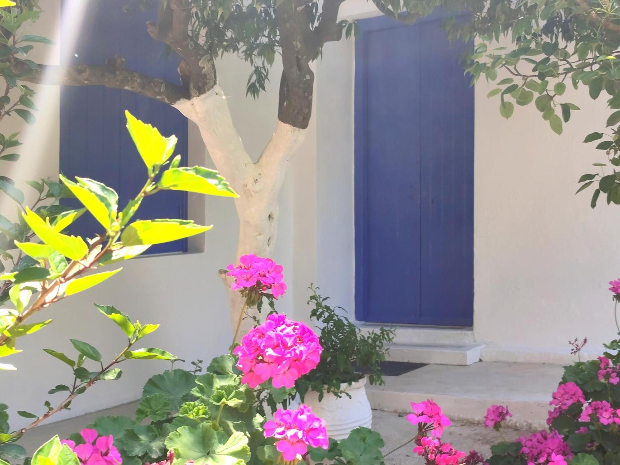 Villa Anticlea II Vathí - Ítaca Exterior foto